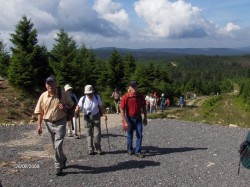 harz harz