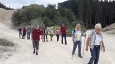 bild-1 bild-1