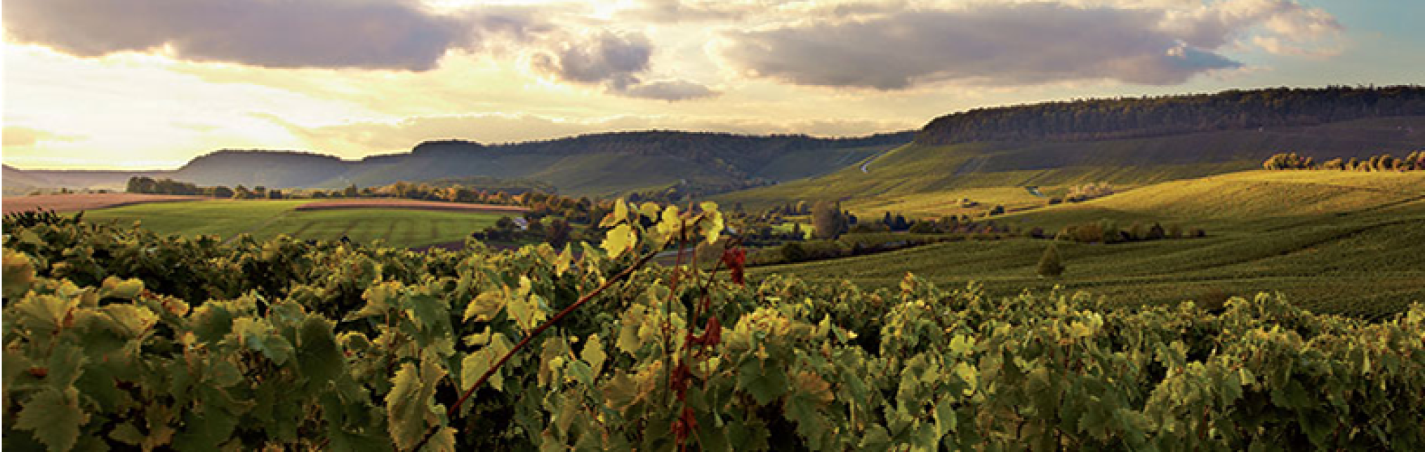 Schwäbischer Albverein | Ortsgruppe Nordheim